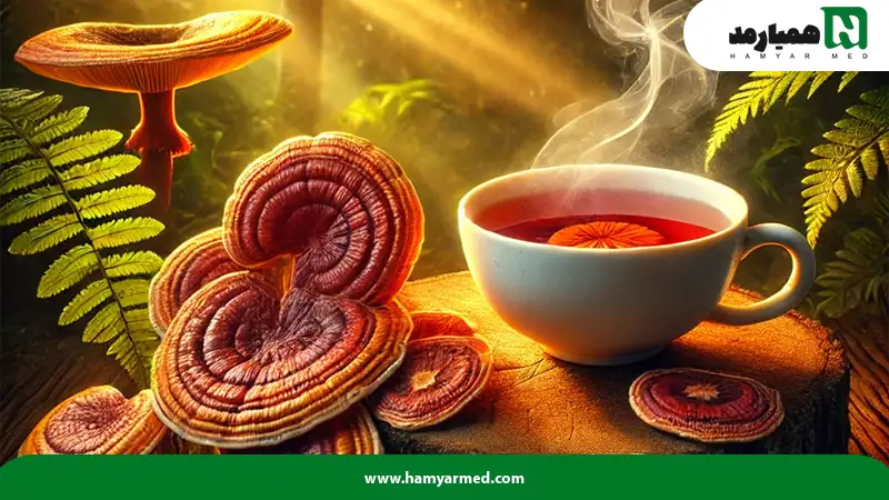 نمای گانودرما و دیابت برای درمان دیابت